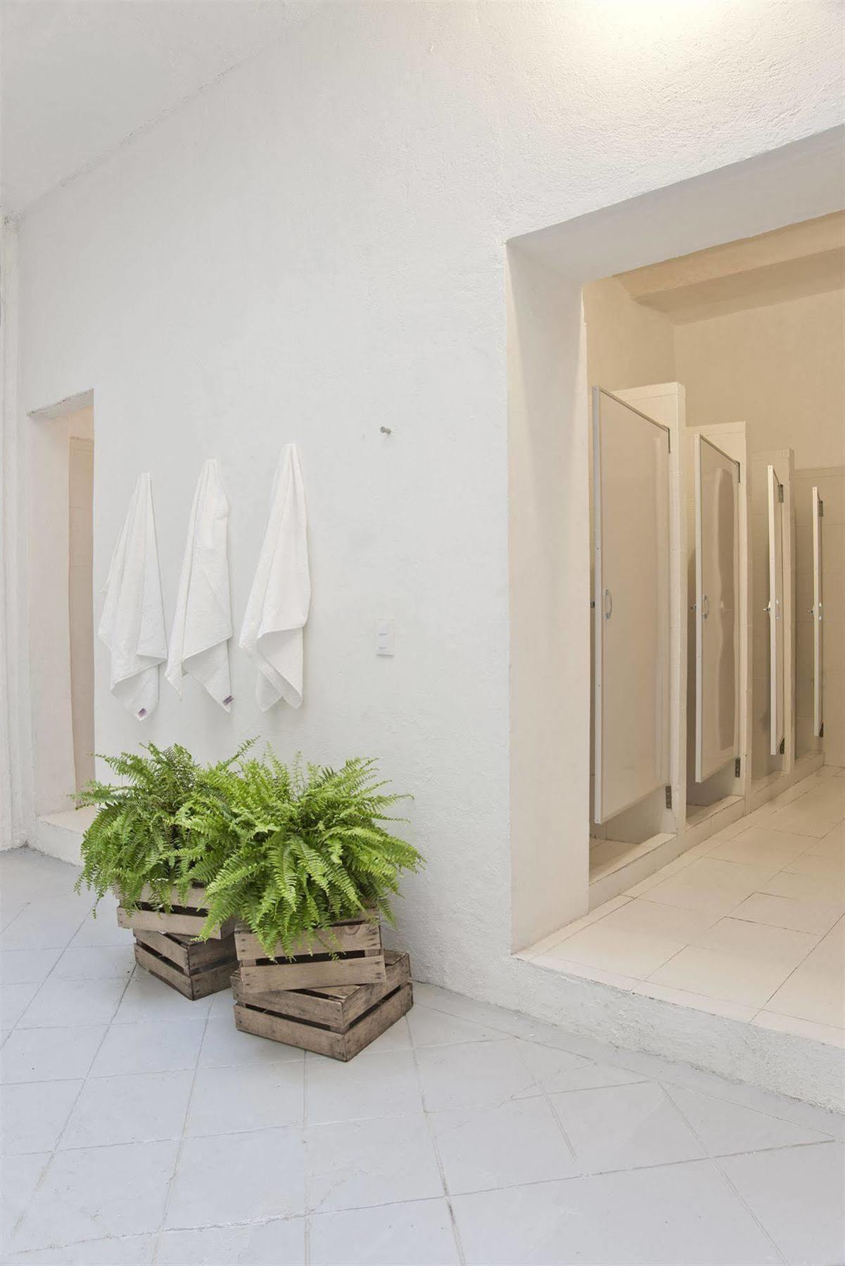 Casa San Ildefonso Hostel เม็กซิโกซิตี้ ภายนอก รูปภาพ